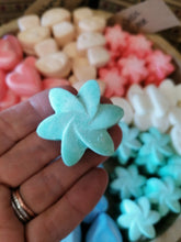 Load image into Gallery viewer, Soy Wax Melts