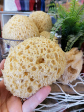 Load image into Gallery viewer, Totally Tropical Jute Gift Bag