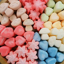 Load image into Gallery viewer, Soy Wax Melts