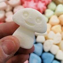 Load image into Gallery viewer, Soy Wax Melts