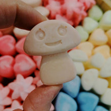 Load image into Gallery viewer, Soy Wax Melts