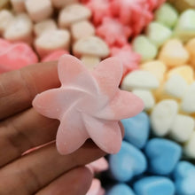 Load image into Gallery viewer, Soy Wax Melts