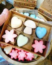 Load image into Gallery viewer, Soy Wax Melts