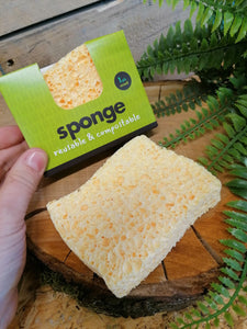 Household Sponge